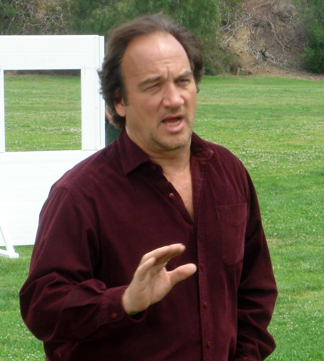 Jim_Belushi.jpg