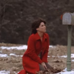 the lake house film sandra bullock keanu reeves filmed in chicago